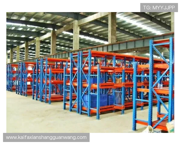 凯发ag旗舰厅网址安全登录指南，教你如何识别正规网址，保障个人信息与财产安全