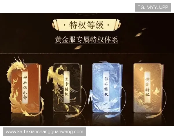 探索K8电游娱乐的VIP会员制度及专属福利，享受尊贵游戏体验